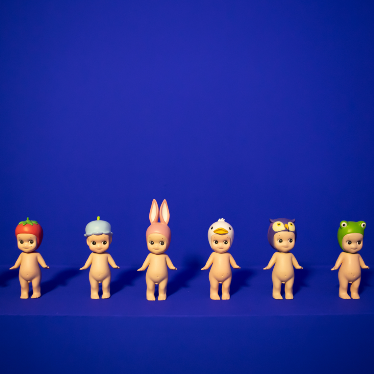 Toilettes après rénovation peinture bleu Majorelle – projet St Maurille